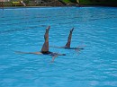 Aftersteg 2007 229 (27) * Schwimmbadfest in Todtnau. Spontan traten Ines und Sarah mit einem Duett auf. * 1280 x 960 * (601KB)